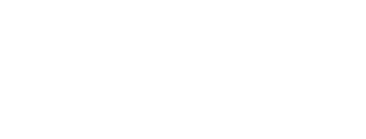 FANDELI