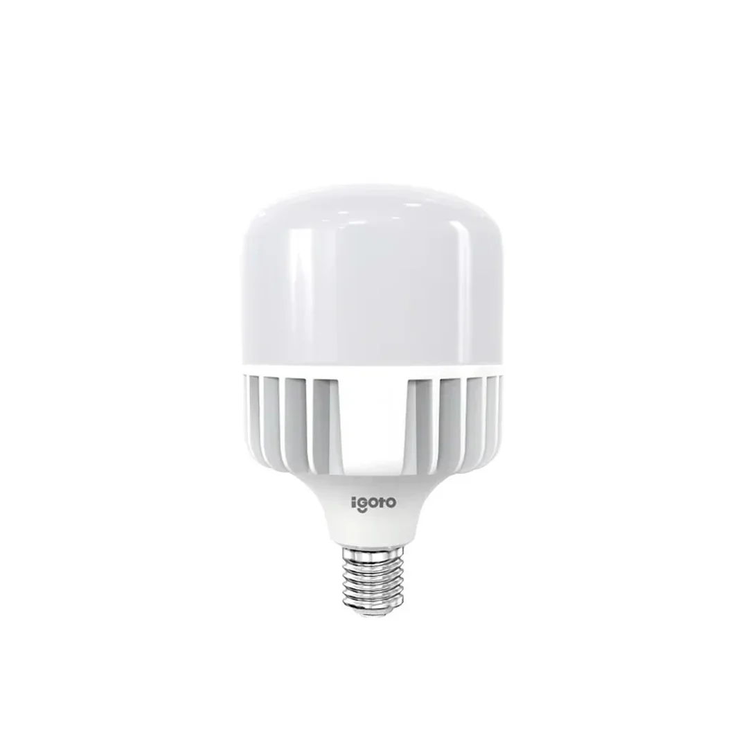 FOCO LED DE ALTA POTENCIA LUZ FRIA